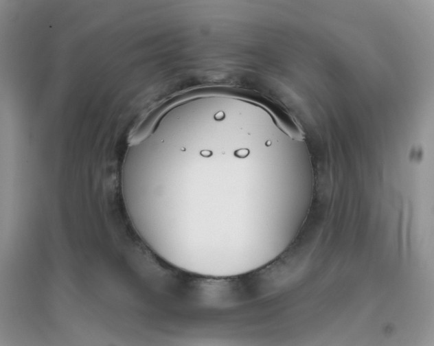 X0000096180085200802011353