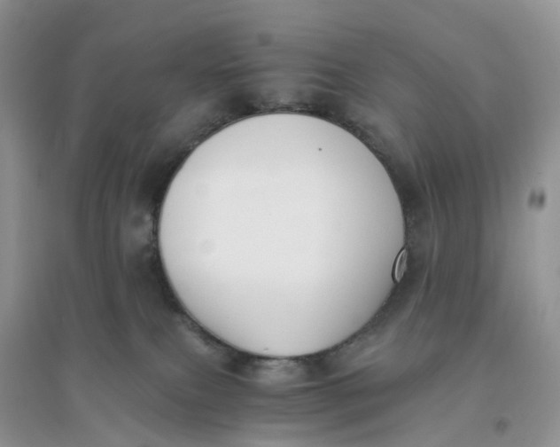 X0000096180087200802011353