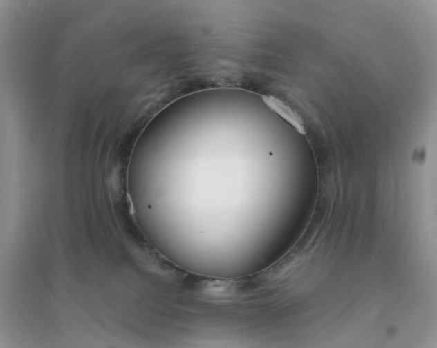 X0000096180088200802011353