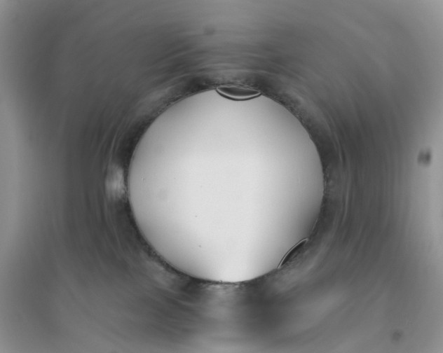 X0000096180089200802011353
