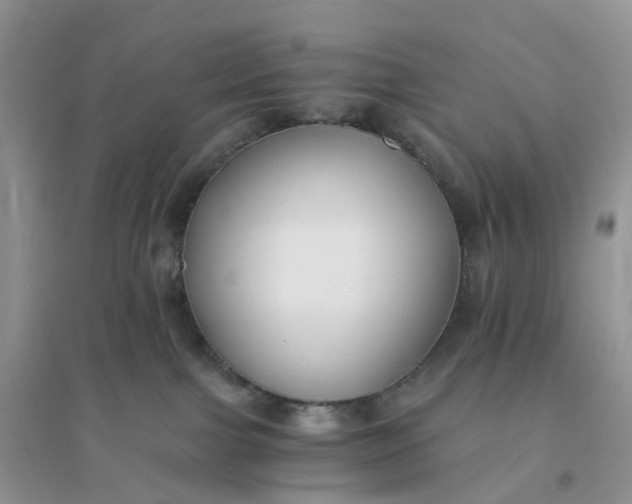 X0000096180091200802011353