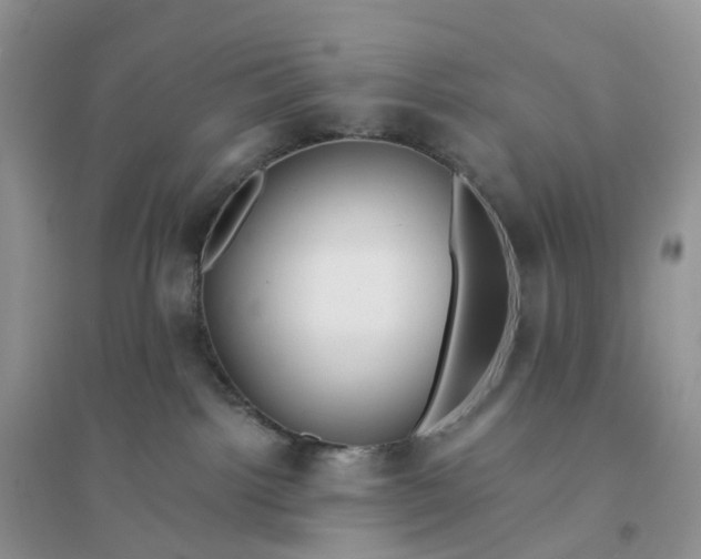 X0000096180092200802011353
