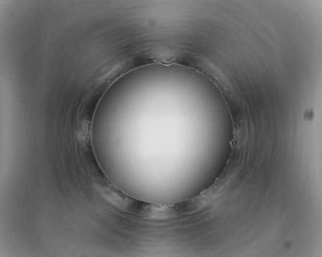 X0000096180093200802011353