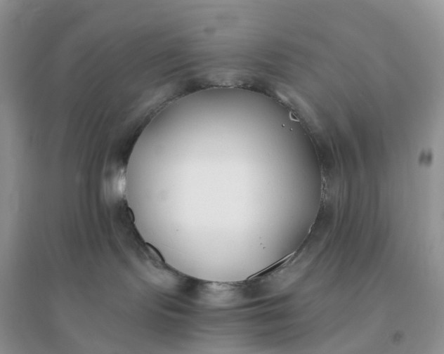 X0000096180095200802011353