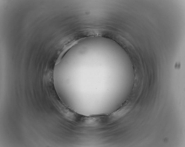 X0000096180096200802011353