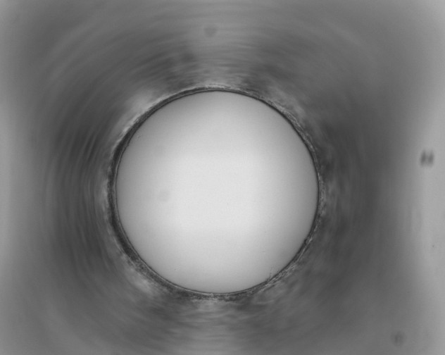 X0000096180098200802011352