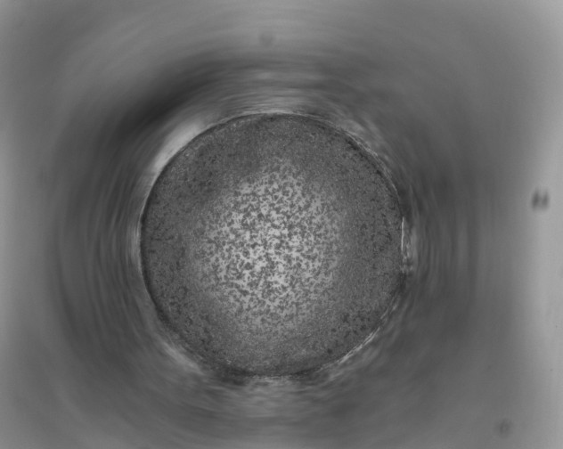 X0000096180099200802011352
