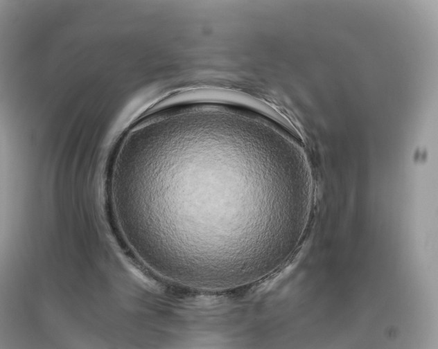 X0000096180101200802011352