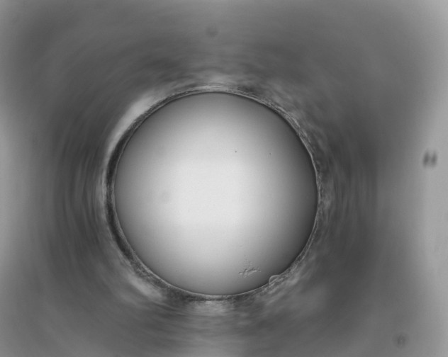 X0000096180102200802011352