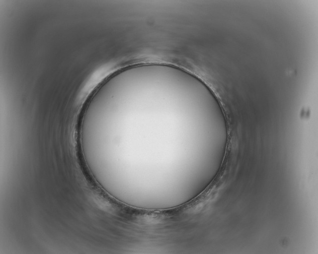 X0000096180103200802011352
