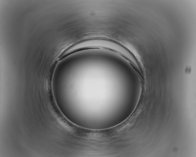 X0000096180105200802011352