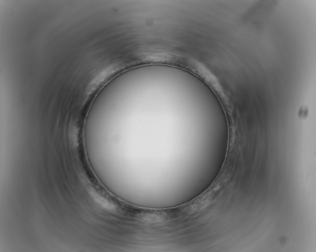X0000096180106200802011352