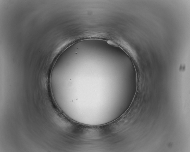 X0000096180107200802011352