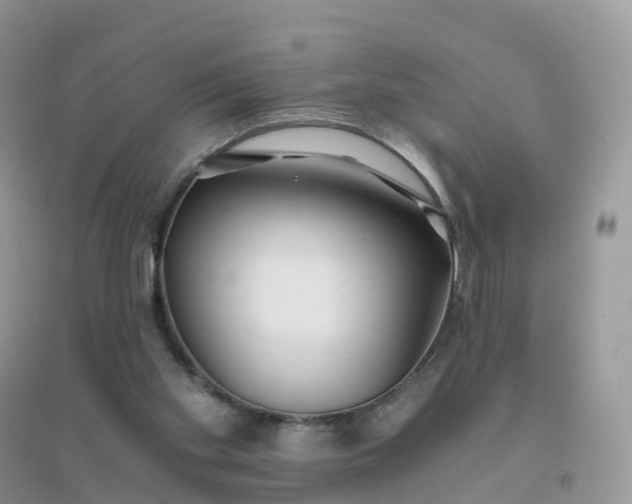 X0000096180109200802011352