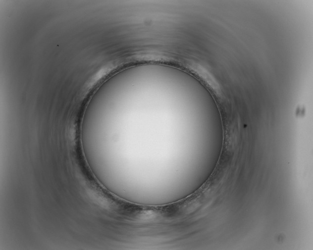 X0000096180111200802011352