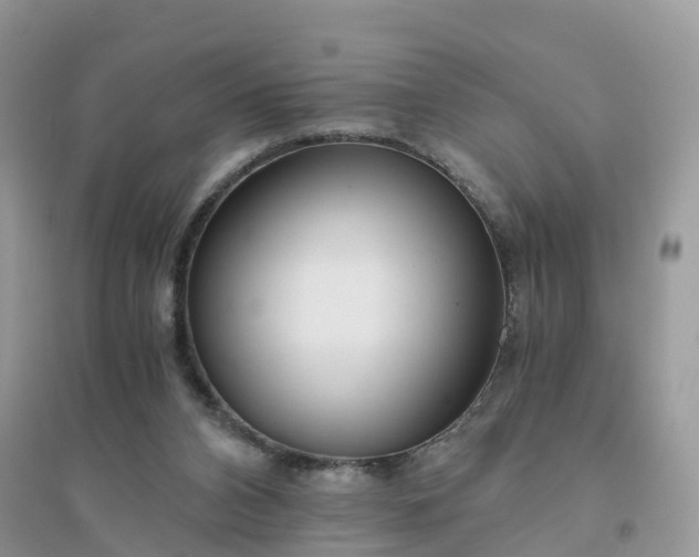 X0000096180112200802011352
