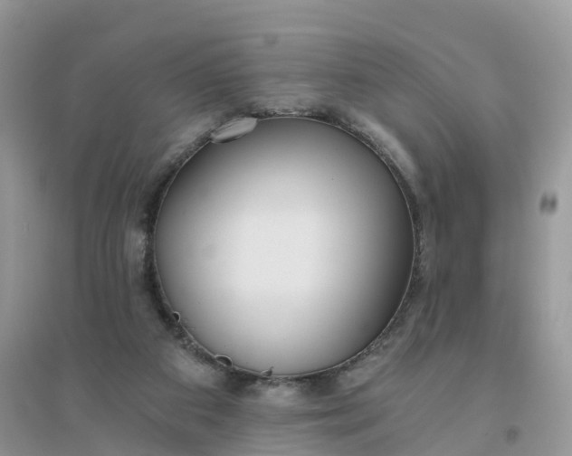 X0000096180113200802011352