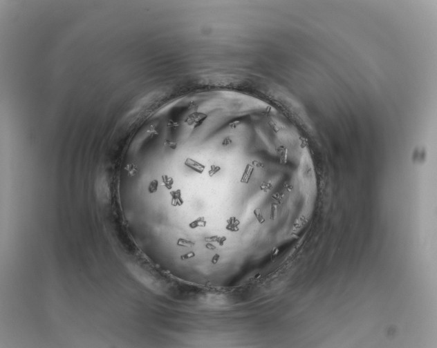 X0000096180114200802011352