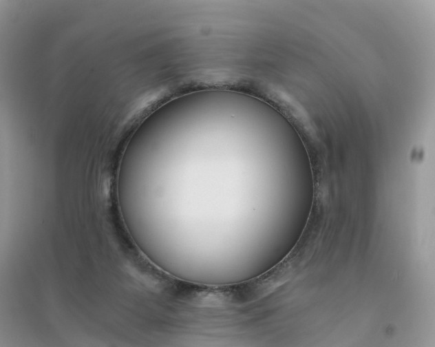 X0000096180115200802011352