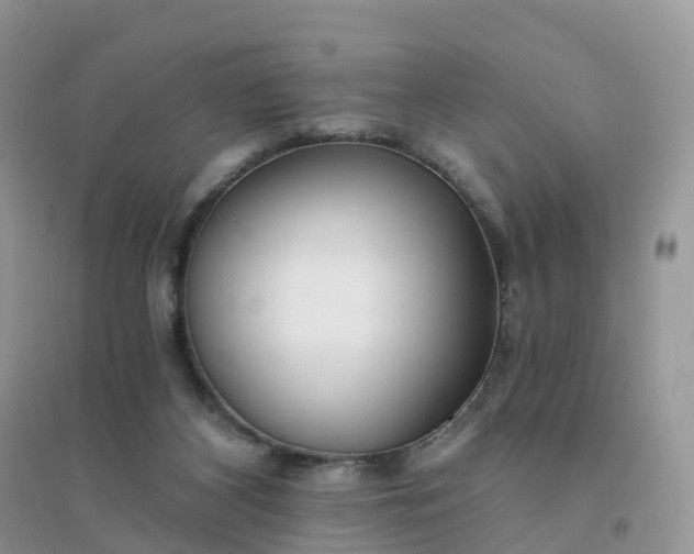 X0000096180116200802011352