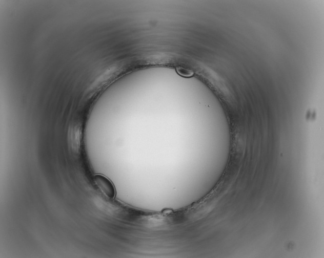 X0000096180118200802011352