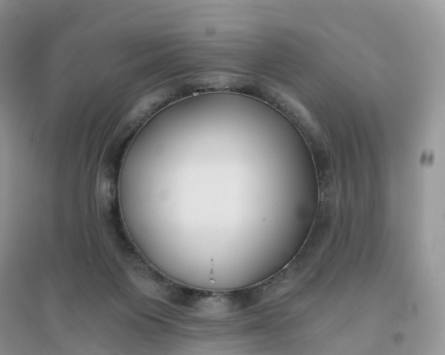 X0000096180119200802011352