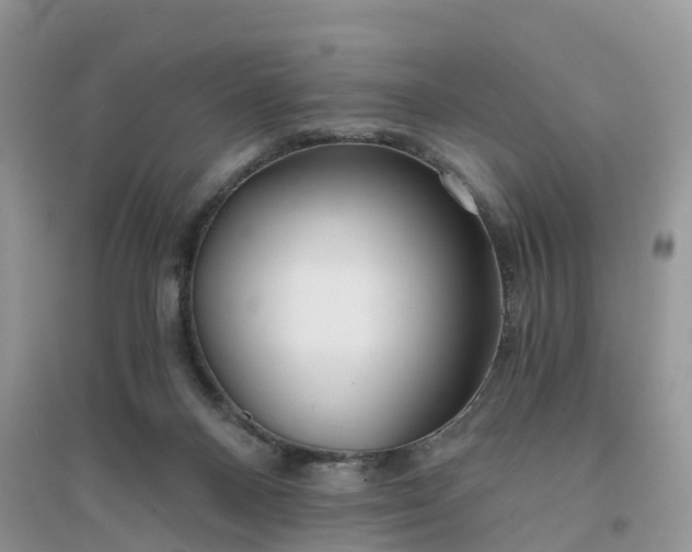 X0000096180120200802011352