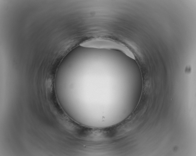 X0000096180121200802011352