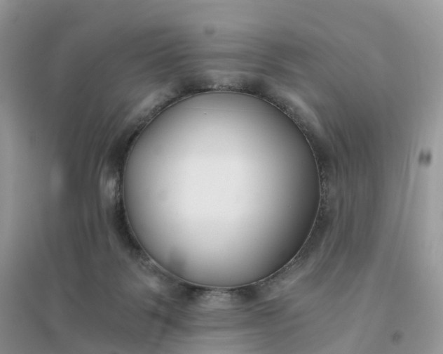 X0000096180123200802011352