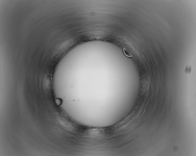 X0000096180126200802011352