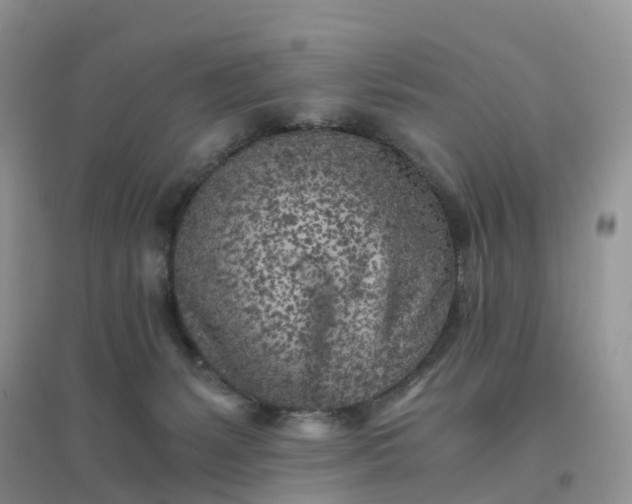 X0000096180127200802011352