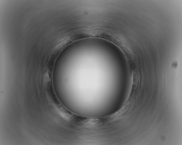 X0000096180128200802011352