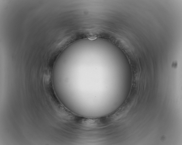 X0000096180129200802011352