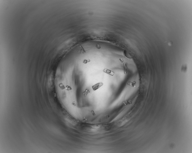 X0000096180130200802011352