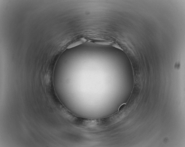 X0000096180131200802011352