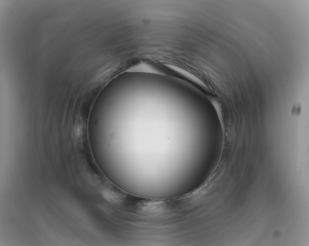 X0000096180132200802011352