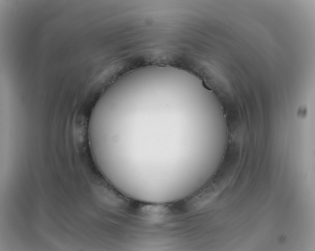 X0000096180133200802011352