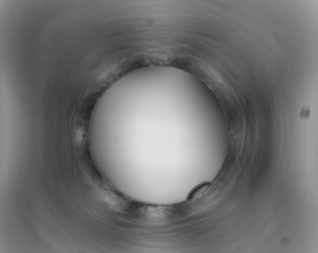 X0000096180134200802011352