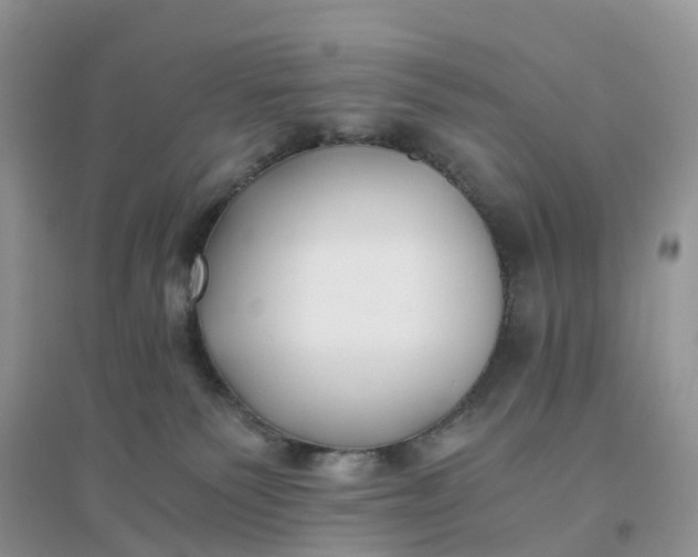 X0000096180135200802011352