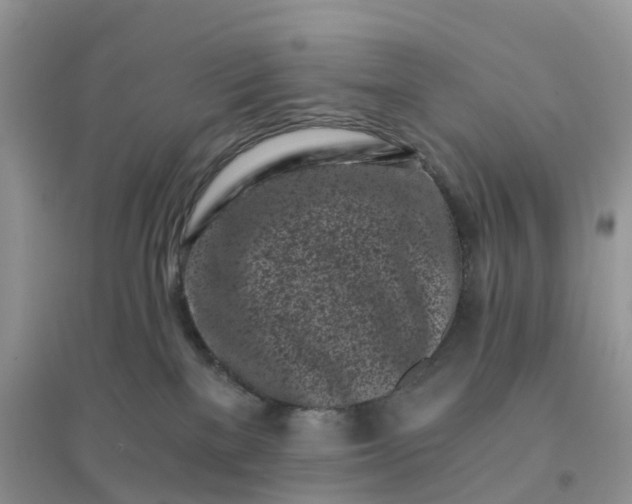 X0000096180137200802011352