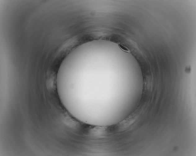X0000096180138200802011352