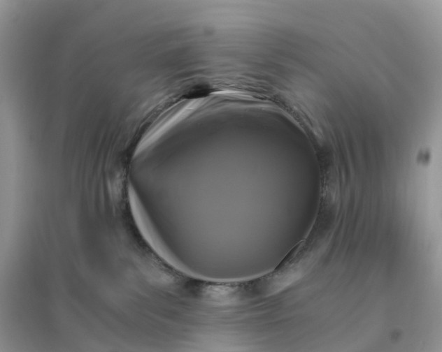 X0000096180139200802011352