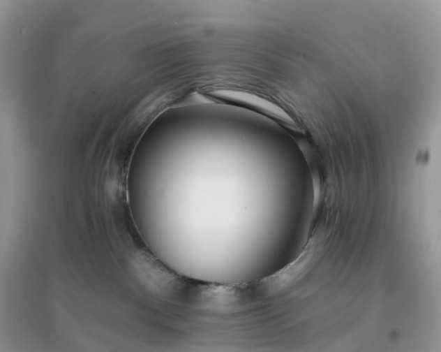 X0000096180140200802011352
