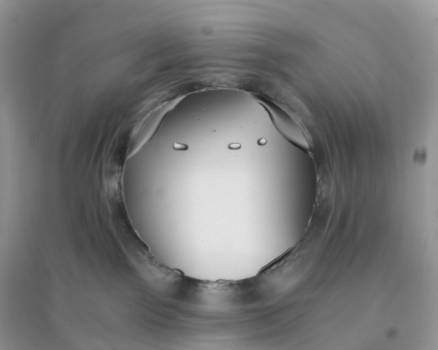 X0000096180141200802011352