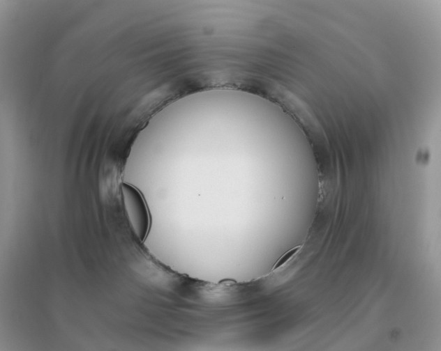 X0000096180142200802011352
