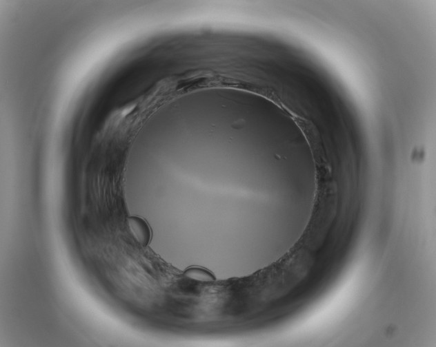 X0000096180143200802011352