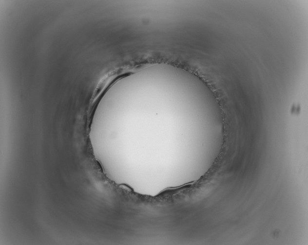X0000096180144200802011352