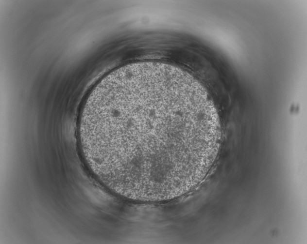 X0000096180146200802011351