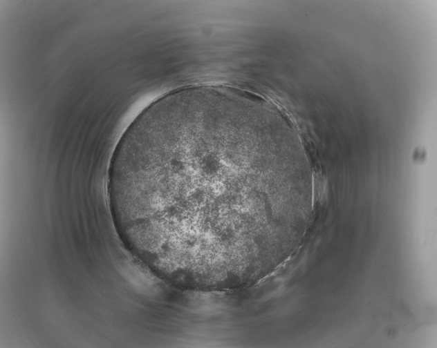 X0000096180147200802011351