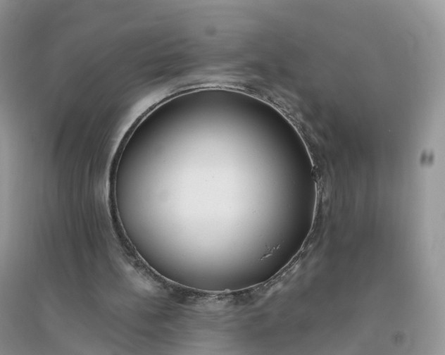 X0000096180148200802011351
